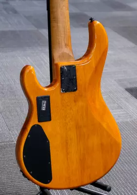 Sterling by Music Man - StingRay Ray35HH 5-String Bass - Amber 2